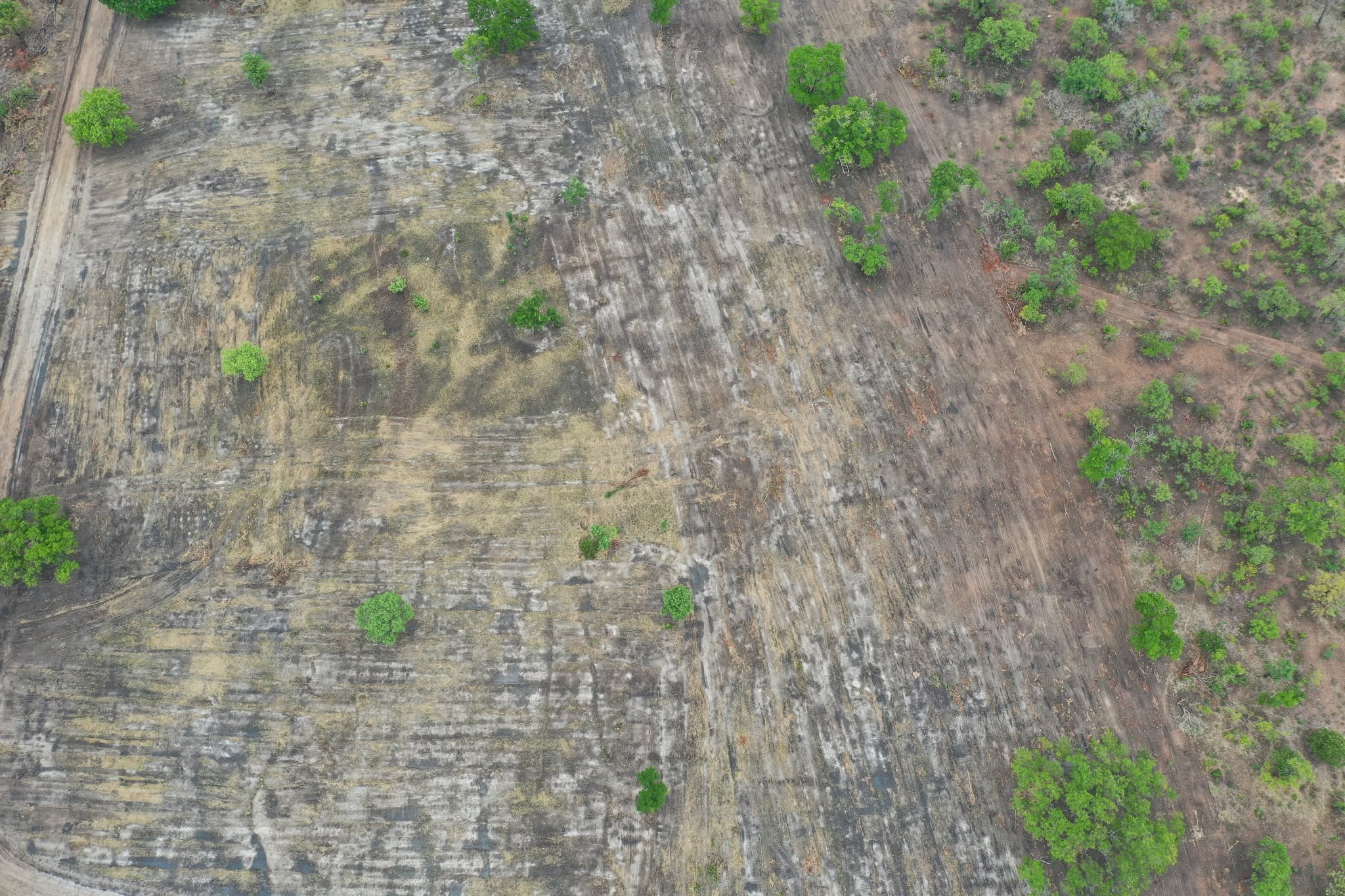 Dam earthworks — 75% complete