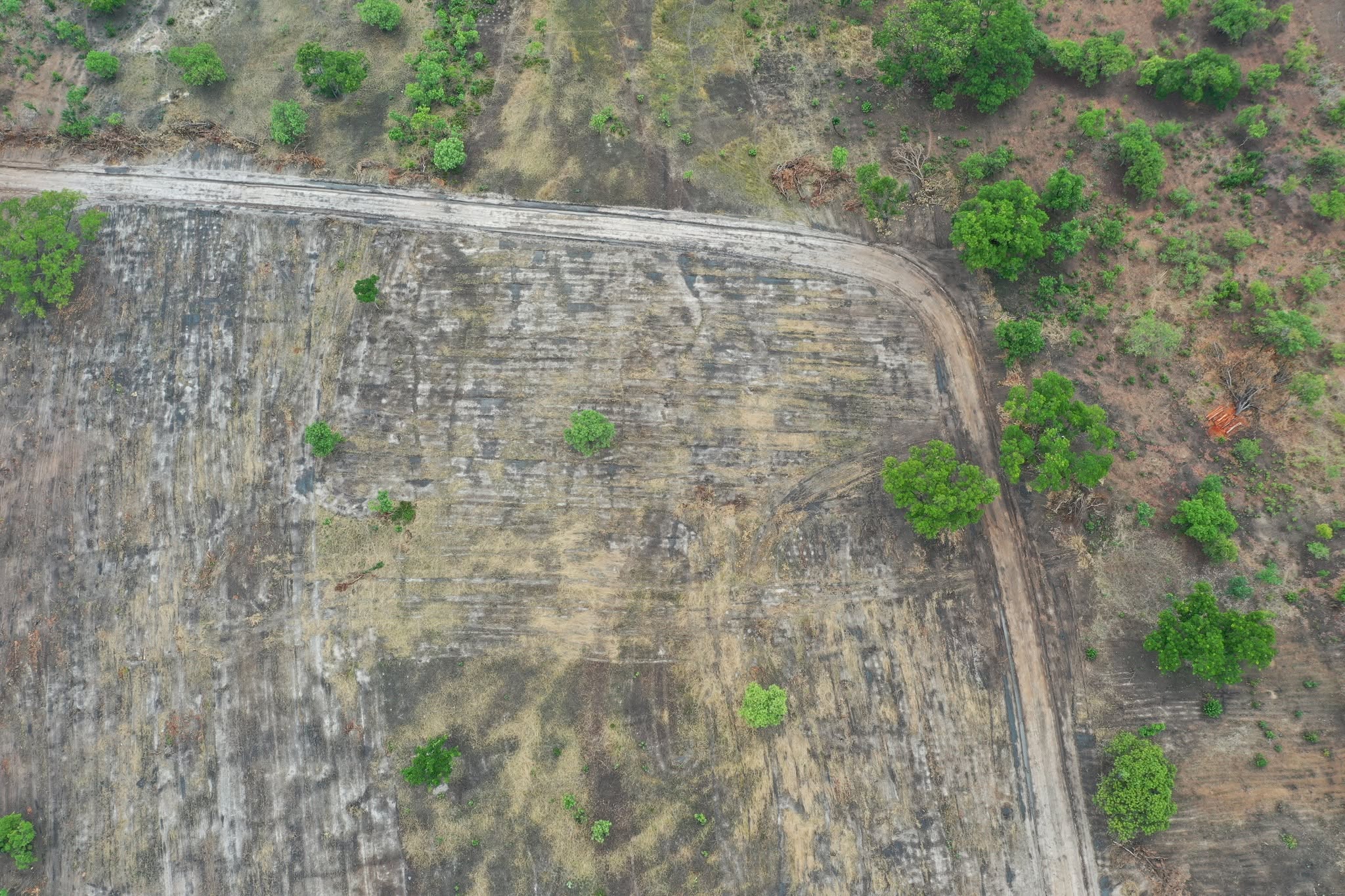 Site access road cleared